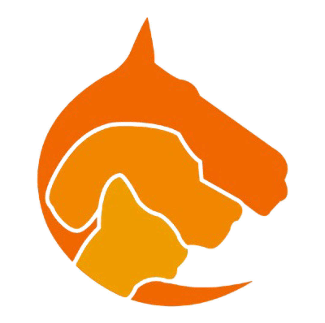 Dr Bouchat