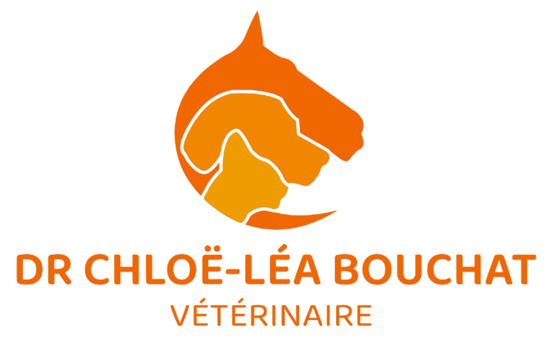 Dr Chloë-Léa Bouchat, vétérinaire